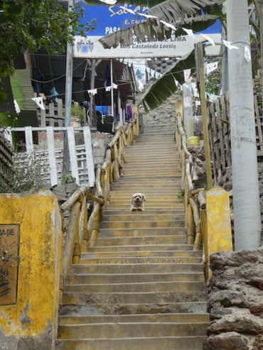 je weiter man nach oben kommt umso schlechter werden Treppen und Wege